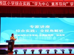 学为中心筑实践根基　素养导向绘成长图景——记园区小学综合实践“学为中心・素养导向”学生成果展示专项研讨活动